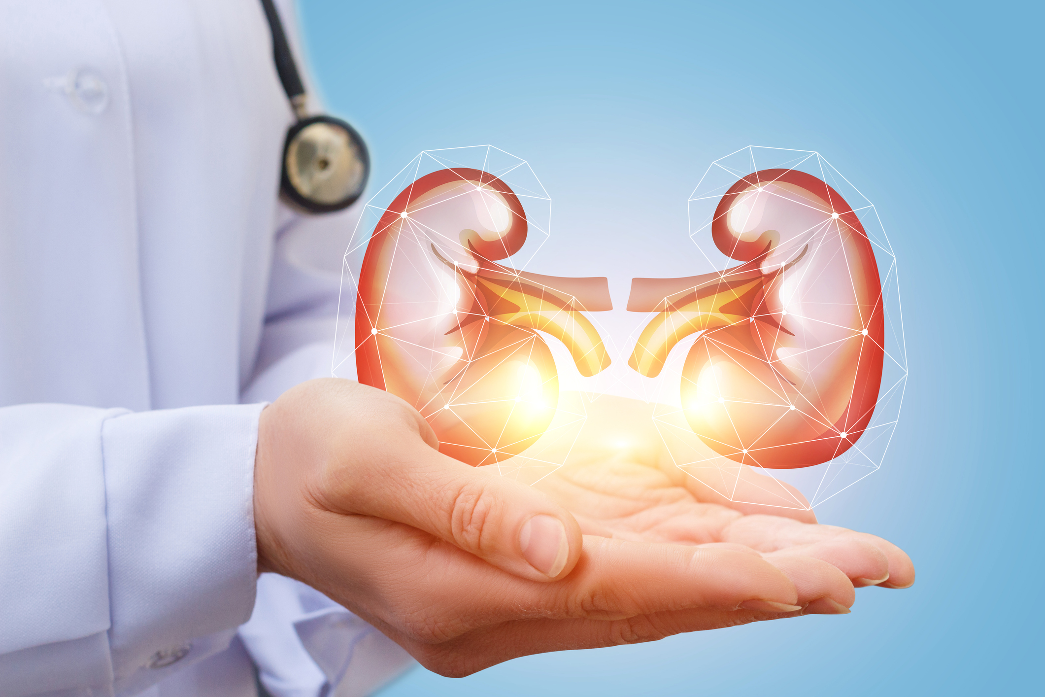 bioartificial kidney - AsiaMD - Verified Medical News & Updates