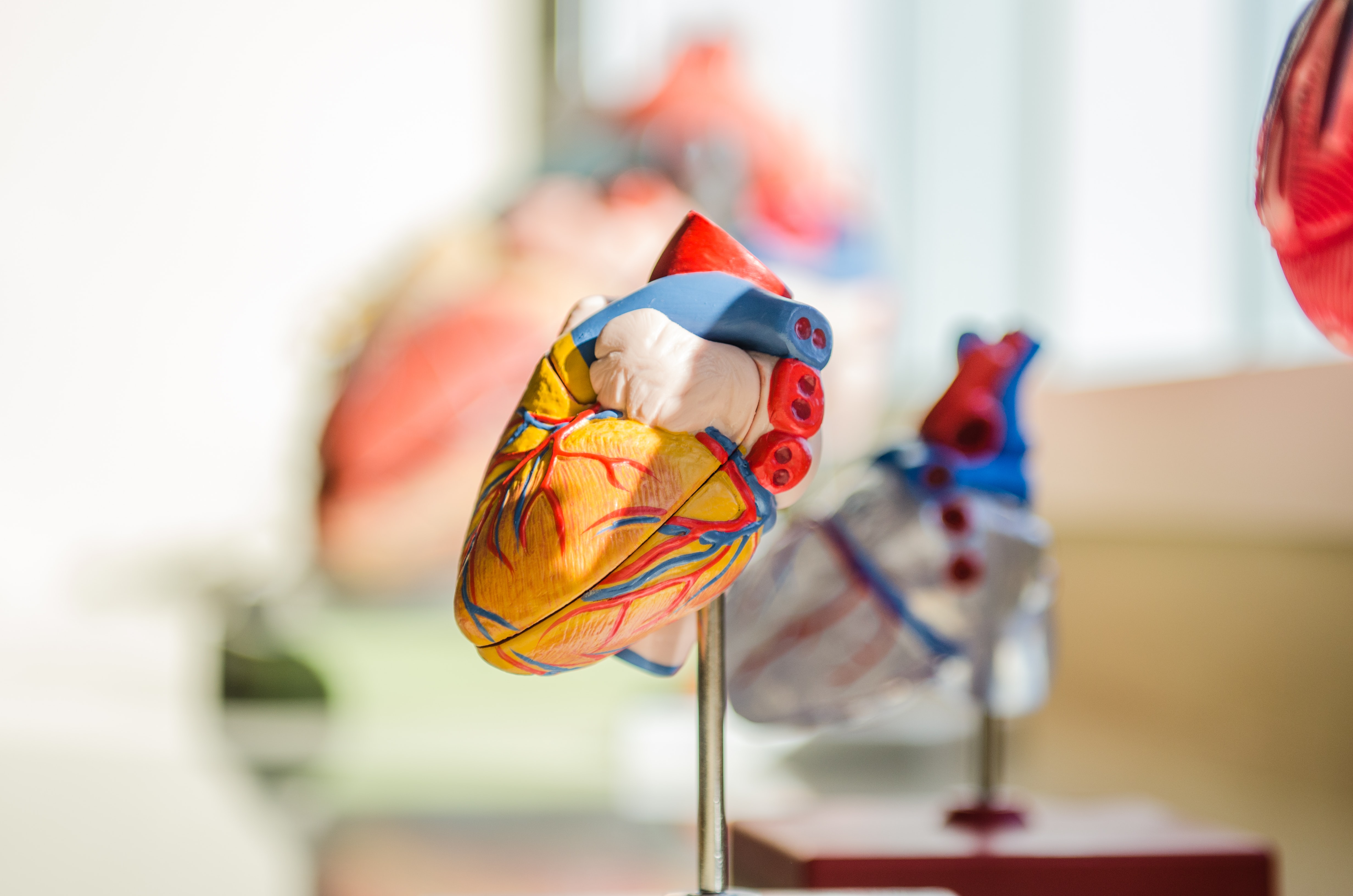 心脏瓣膜疾病有危险吗？