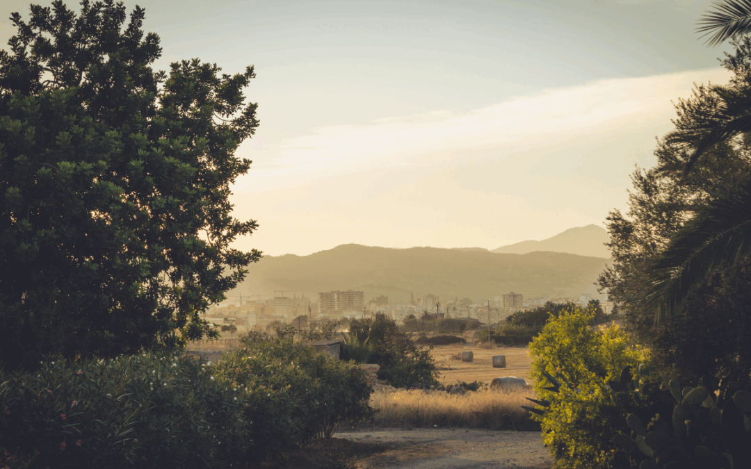Wellness Retreats in Asia: A Regional Spotlight