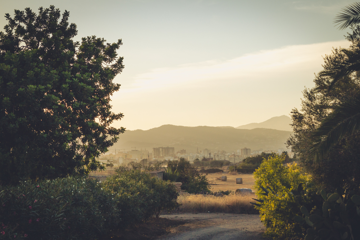 retreat wellness