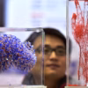 Asia MD_News_Printing Organs_web-3d-printer-rex