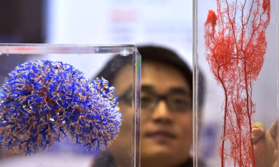 Asia MD_News_Printing Organs_web-3d-printer-rex