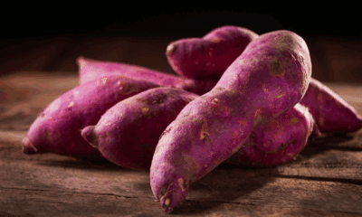 Asia MD_The Everyday Longevity Diet – Rediscovering Asia’s Culinary Secrets