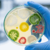 Asia MD_Asia-Pacific Antimicrobial Resistance Gaps