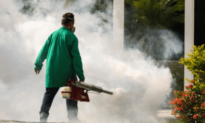 Asia MD_Dengue Surge in Bangladesh Hits Record High