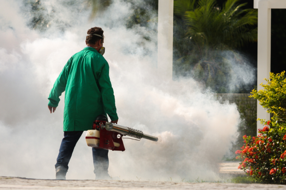Asia MD_Dengue Surge in Bangladesh Hits Record High