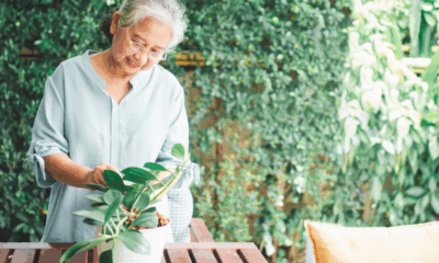 Asia MD_Is Asia Leading the Future of Longevity Medicine_