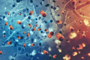 Asia MD_Quantum-AI Platform for Cancer Immunotherapy (Japan)